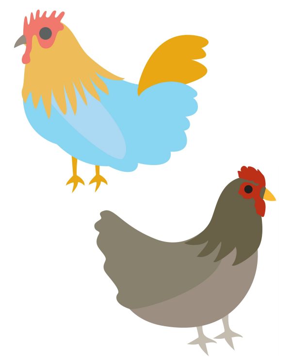 Chicken graphics for crafts. Find them in the Printable Vault