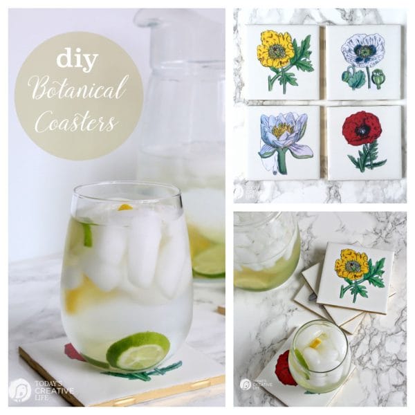 diy botanical coasters | todayscreativelife.com