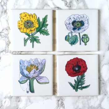 DIY Botanical Coasters | Craft time!! Make your own botanical coasters with ceramic tiles and a little mod podge! Decoupaging is so easy and creates such wonderful diy home decor! Easy DIY crafts. See the tutorial on TodaysCreativeLife.com