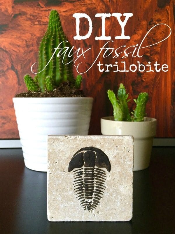 DIY Trilobite Fossils | Make your own Fossils for decorating! This Boy Bedroom idea is the perfect theme for your guy. Who knew that this Cricut Explore craft could create such original DIY ideas! See the step by step tutorial on TodaysCreativeLife.com