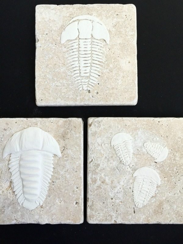 DIY Trilobite Fossils | Make your own Fossils for decorating! This Boy Bedroom idea is the perfect theme for your guy. Who knew that this Cricut Explore craft could create such original DIY ideas! See the step by step tutorial on TodaysCreativeLife.com