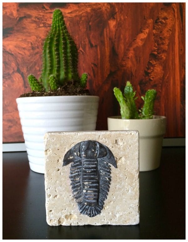 DIY Trilobite Fossil | Make your own Fossils for decorating! This Boy Bedroom idea is the perfect theme for your guy. Who knew that this Cricut Explore craft could create such original DIY ideas! See the step by step tutorial on TodaysCreativeLife.com