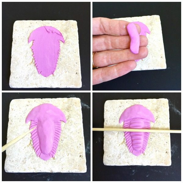 DIY Trilobite Fossil | Make your own Fossils for decorating! This Boy Bedroom idea is the perfect theme for your guy. Who knew that this Cricut Explore craft could create such original DIY ideas! See the step by step tutorial on TodaysCreativeLife.com
