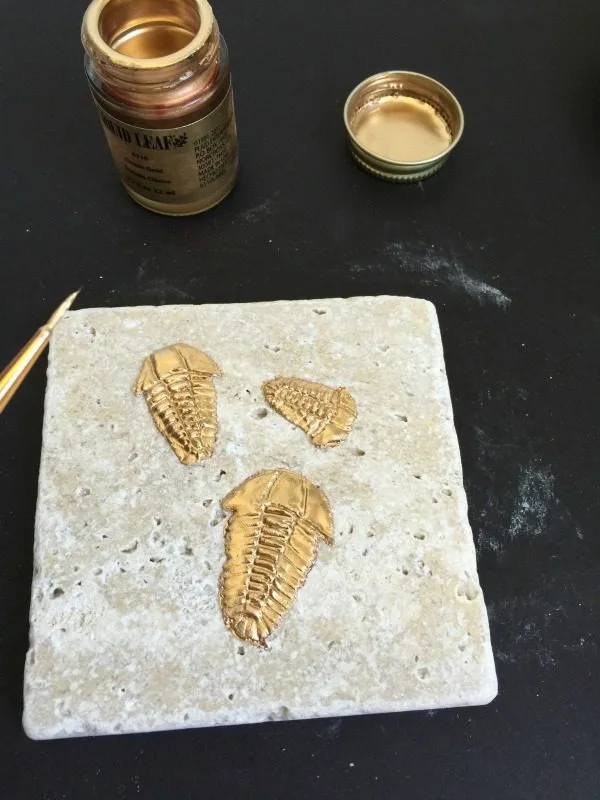 DIY Trilobite Fossils | Make your own Fossils for decorating! This Boy Bedroom idea is the perfect theme for your guy. Who knew that this Cricut Explore craft could create such original DIY ideas! See the step by step tutorial on TodaysCreativeLife.com