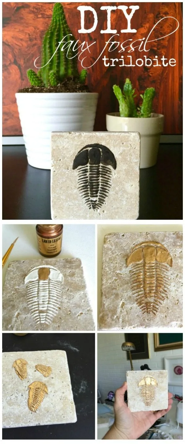 DIY Trilobite Fossils | Make your own Fossils for decorating! This Boy Bedroom idea is the perfect theme for your guy. Who knew that this Cricut Explore craft could create such original DIY ideas! See the step by step tutorial on TodaysCreativeLife.com