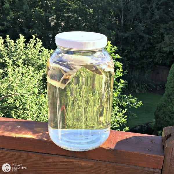 How To Make Sun Tea