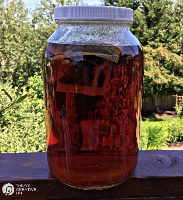 jar of freshly brewed sun tea