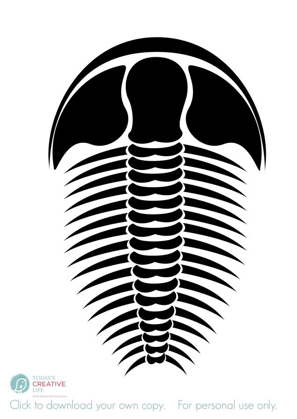 Trilobite Fossil Download | TodaysCreativeLIfe.com For personal use only 