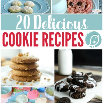 Everyone loves cookies! I've collected 20 Delicious Cookie Recipes from my site and a few others that will make your mouth water.