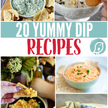 20 Yummy Dip Recipes | You'll find crowd pleasing party food for any event or potluck. Dips are great appetizers for the holidays too! See more on TodaysCreativeLife.com
