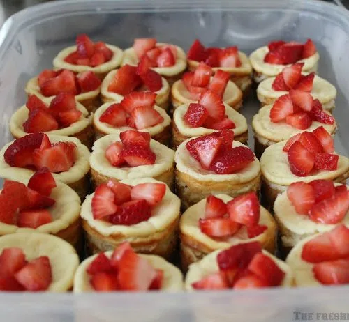 Strawberry Mini Cheesecakes | Cheesecakes for a crowd are easy with this recipe from The Freshman Cook. Cheesecake recipes are easier than you think. Shared on TodaysCreativeLife.com