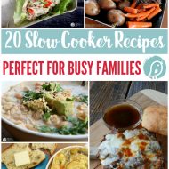 20 Slow Cooker Recipes