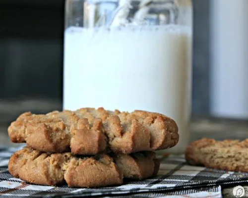 chewy Peanut butter Cookies