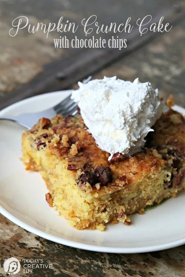 Pumpkin Crunch Cake with Chocolate Chips |  Served on a white plate with whipped cream. A fall classic dump cake. 