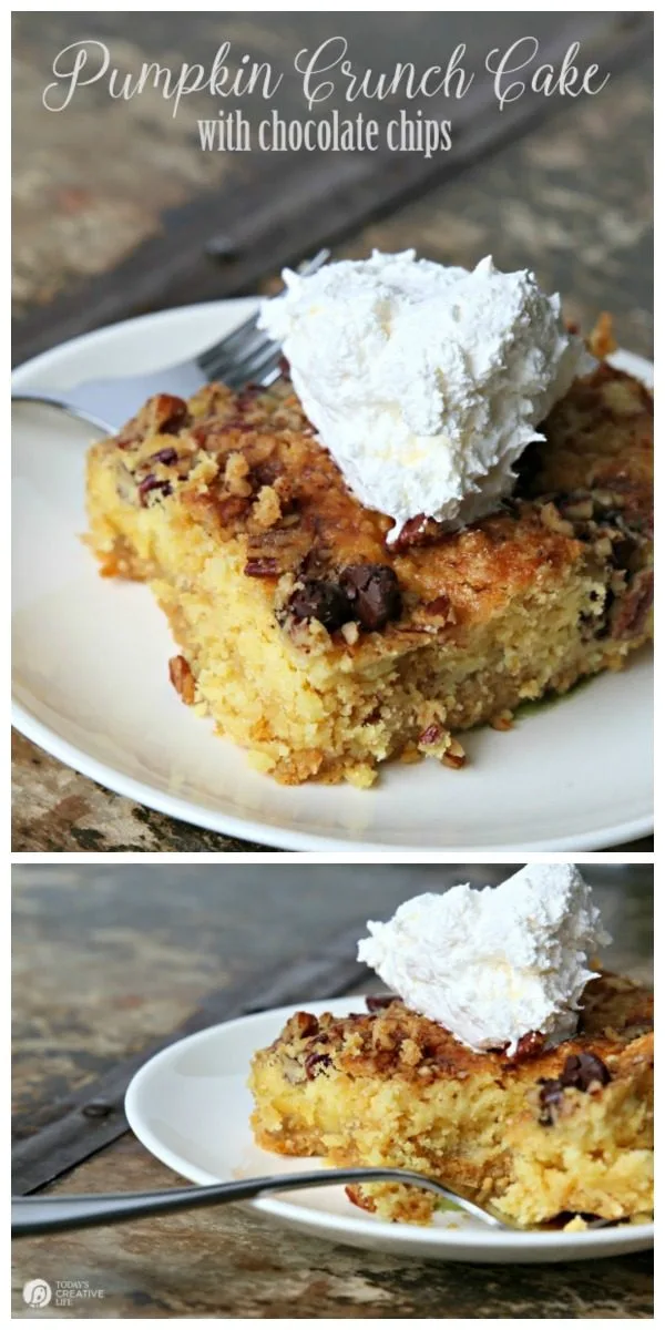 Pumpkin Crunch Cake with Chocolate Chips | This is a fall classic! Maybe you call it Pumpkin dump cake? So easy to make, and full of that pumpkin pie flavor! Click the photo for the recipe. Today's Creative Life