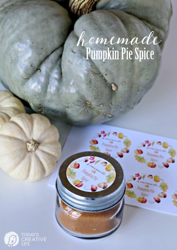 Pumpkin Pie Spice | make your own homemade pumpkin pie spice with this simple recipe. No fillers and all goodness. Click the photo to get the recipe. TodaysCreativeLife.com