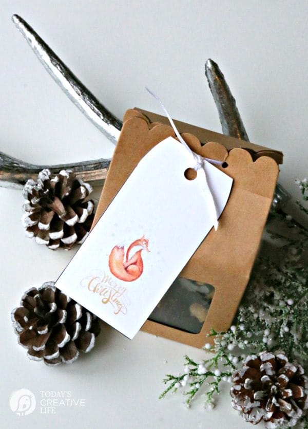 Dark Chocolate Nutty Fruit Bites | Easy holiday gifts from the kitchen. Great for neighbor gifts or to have on hand for last minute gift giving. Free Christmas tag found on TodaysCreativeLife.com 