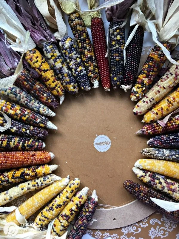 DIY Indian Corn Wreath Fall Porch | This fall craft will have you smiling every time you open the door. DIY Fall Wreath tutorial on TodaysCreativeLife.com