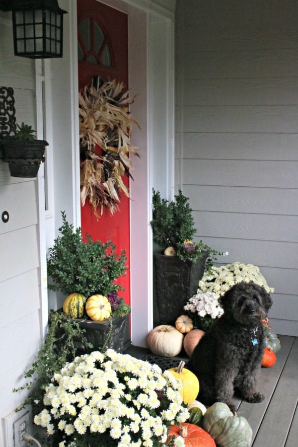 DIY Indian Corn Wreath Fall Porch | Decorate your porch for fall with mums, gourds, pumpkins and this diy fall wreath. Click the photo for more on TodaysCreativeLife.com