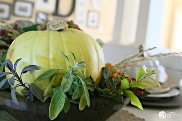 Easy Fall Table Decor | Create a beautiful autumn tablescape that's great for October through Thanksgiving. Create this easy centerpiece with natural elements from your yard. Click the photo for more ideas. TodaysCreativeLife.com