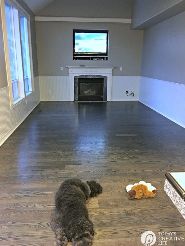 dog sleeping on a hardwood floor