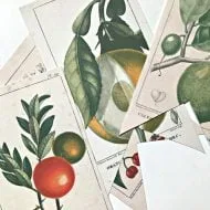 Free Printable Vintage Botanical Banner