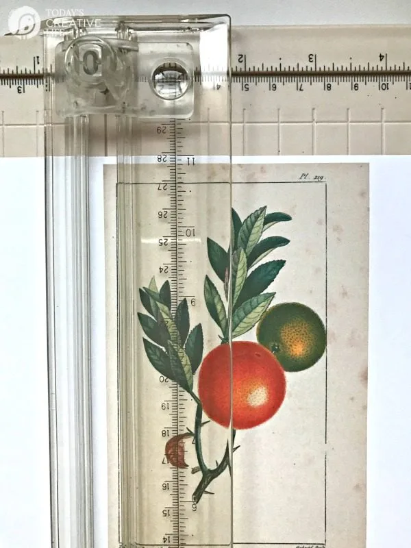 Free Printable Vintage Botanical Banner | Decorating with botanicals with this DIY banner. Or frame them! Click on the photo for your free download. TodaysCreativeLife.com