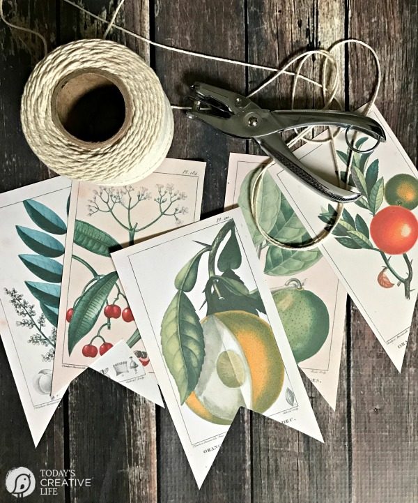 Free Printable Vintage Botanical Banner | Decorating with botanicals with this DIY banner. Or frame them! Click on the photo for your free download. TodaysCreativeLife.com