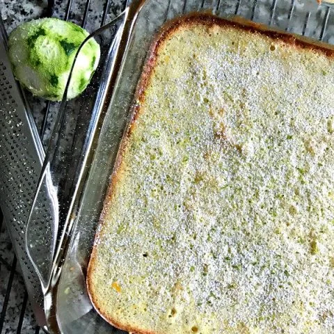 Key Lime Bars with Lime Zest | TodaysCreativeLife.com