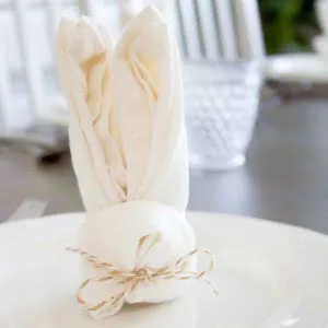 Bunny Napkin