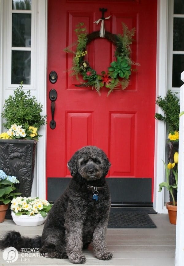 Front Porch Ideas | Small front porch simple decorating ideas for spring. TodaysCreativeLife.com