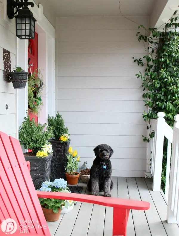 Front Porch Ideas | Small front porch simple decorating ideas for spring. TodaysCreativeLife.com