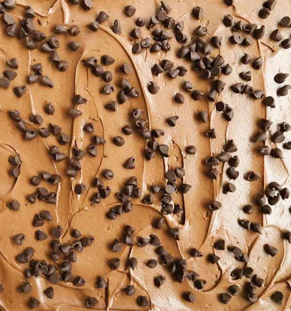fudge frosting with chocolate chips