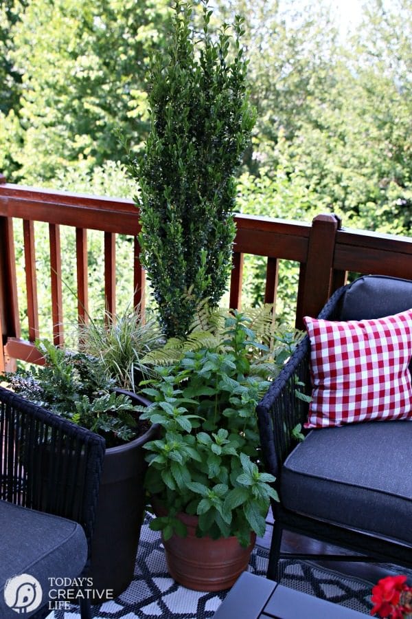 Small Patio Decorating with pots of fresh herbs