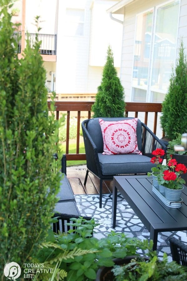 Small Patio decorated with furniture and potted plants