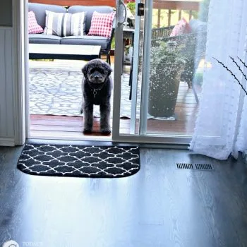 Best Wood Floor Cleaner