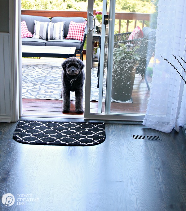 dog standing at the back door of a home