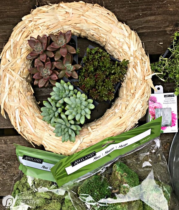 Supplies needed for making a succulent wreath | Find the tutorial on TodaysCreativeLife.com