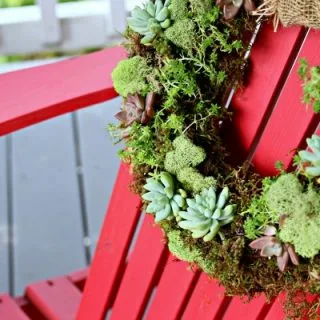 Succulent Wreath | How to make a living succulent wreath | DIY Moss and Succulent Wreath | Easy to Make | Spring or Fall Wreath | Find the tutorial on TodaysCreativeLife.com