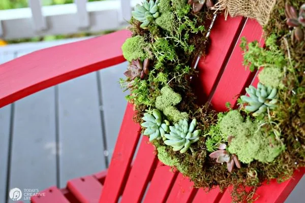 succulent wreath hanging on a red Adroniak chair