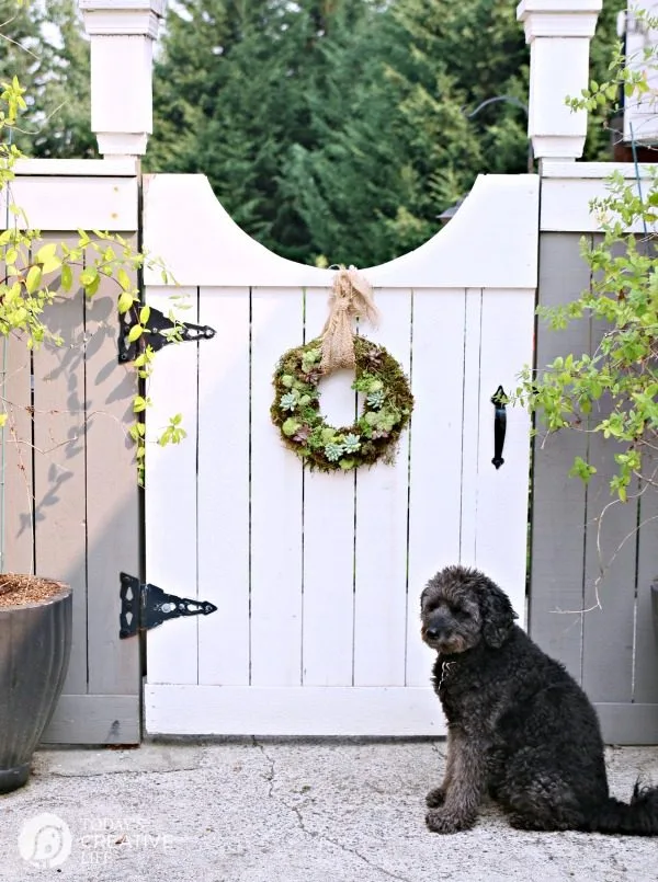 living succulent wreath hanging on a white entrance gate