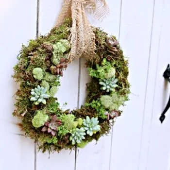 living succulent wreath on a white fence gate