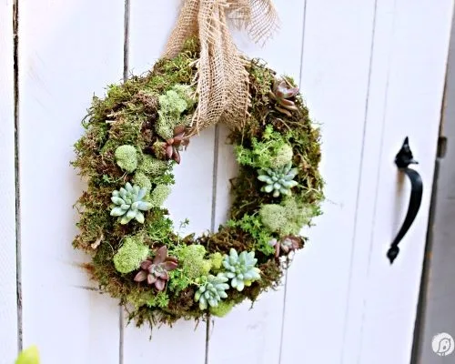 living succulent wreath on a white fence gate