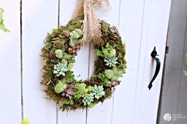 How to Make a DIY Succulent Wreath | Todays Creative Life