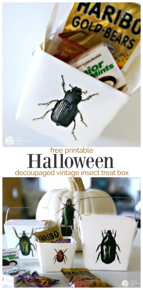 DIY Halloween Treat Box | Trick or Treat Candy Box with a decoupaged Mod Podge Free Printable | Easy Halloween Craft Ideas from TodaysCreativeLife.com 