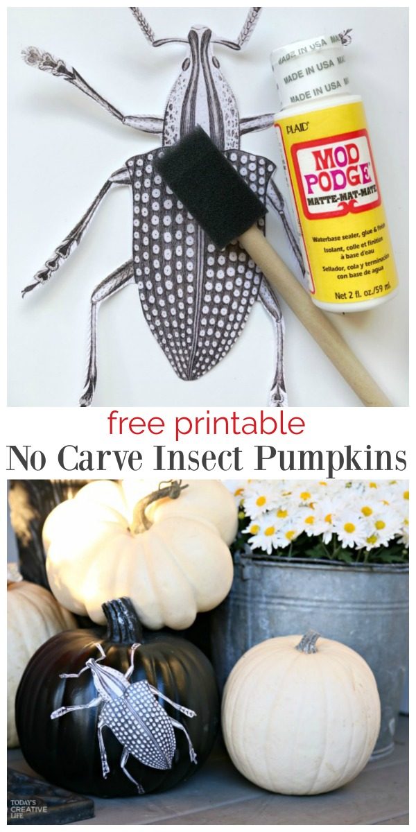 Creative Pumpkin Decorating Ideas | No Carve decoupage Mod Podge Crafts | Halloween Decorating Ideas | TodaysCreativeLife.com