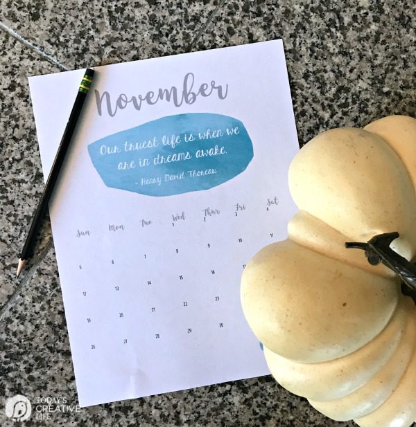 November 2017 Free Printable Calendar | Printable month to month calendar | Get it on TodaysCreativeLife.com