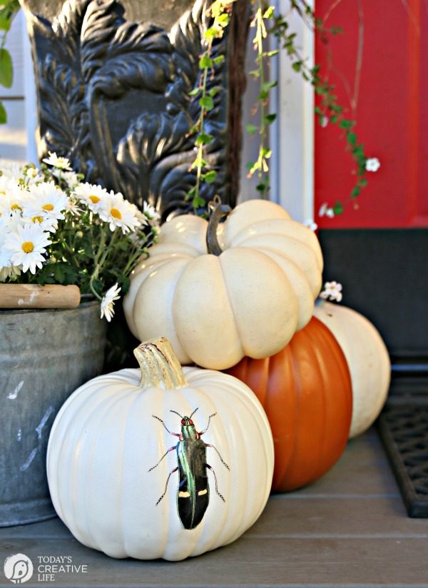 Creative Pumpkin Decorating Ideas | Mod Podge No Carve Pumpkins with a free printable insect. TodaysCreativeLife.com