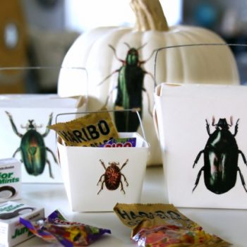 DIY Halloween Treat Box | Decoupage Halloween Crafts | TodaysCreativeLife.com