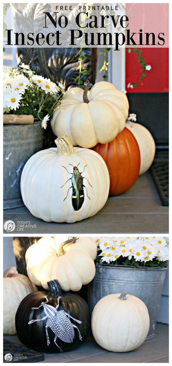 Creative Pumpkin Decorating Ideas | No Carve decoupage Mod Podge Crafts | Halloween Decorating Ideas | TodaysCreativeLife.com